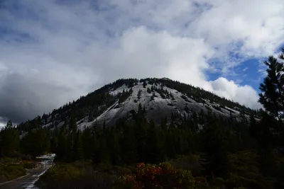 DSC_2911 (Large).JPG